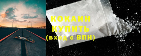 ПСИЛОЦИБИНОВЫЕ ГРИБЫ Гусев