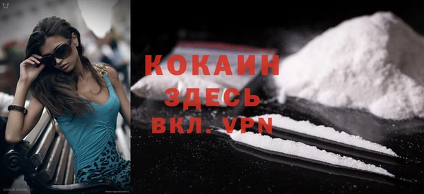 ПСИЛОЦИБИНОВЫЕ ГРИБЫ Гусев
