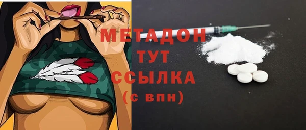ПСИЛОЦИБИНОВЫЕ ГРИБЫ Гусев