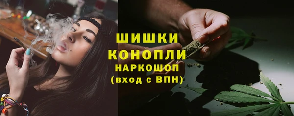 ПСИЛОЦИБИНОВЫЕ ГРИБЫ Гусев