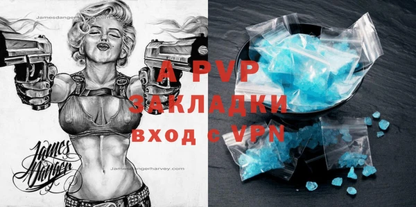 ПСИЛОЦИБИНОВЫЕ ГРИБЫ Гусев