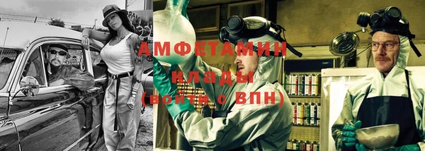 ПСИЛОЦИБИНОВЫЕ ГРИБЫ Гусев