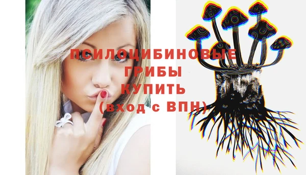 герыч Гусь-Хрустальный