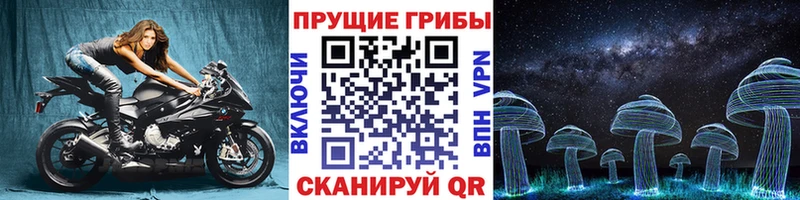 KRAKEN ссылка  Обнинск  Псилоцибиновые грибы Cubensis 